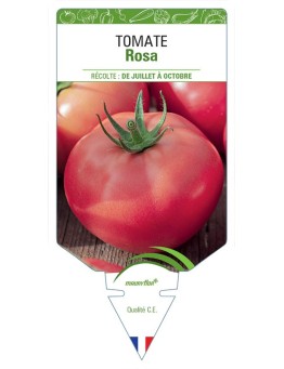 TOMATE ROSA