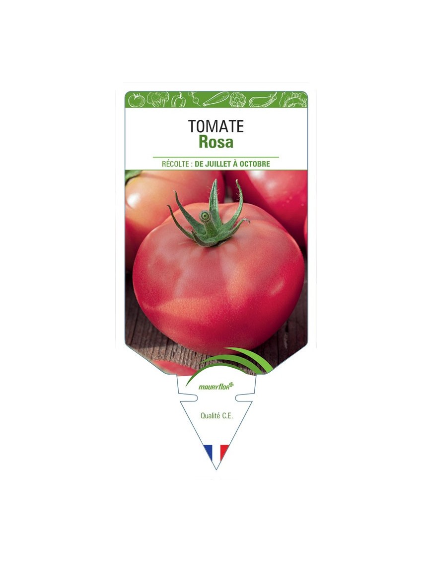TOMATE ROSA