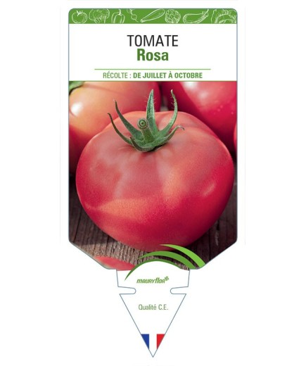 TOMATE ROSA