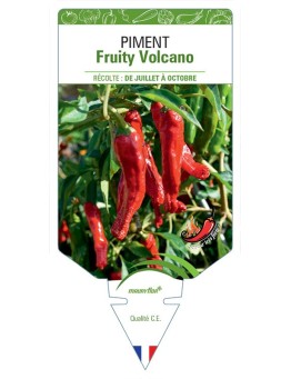 PIMENT FRUITY VOLCANO