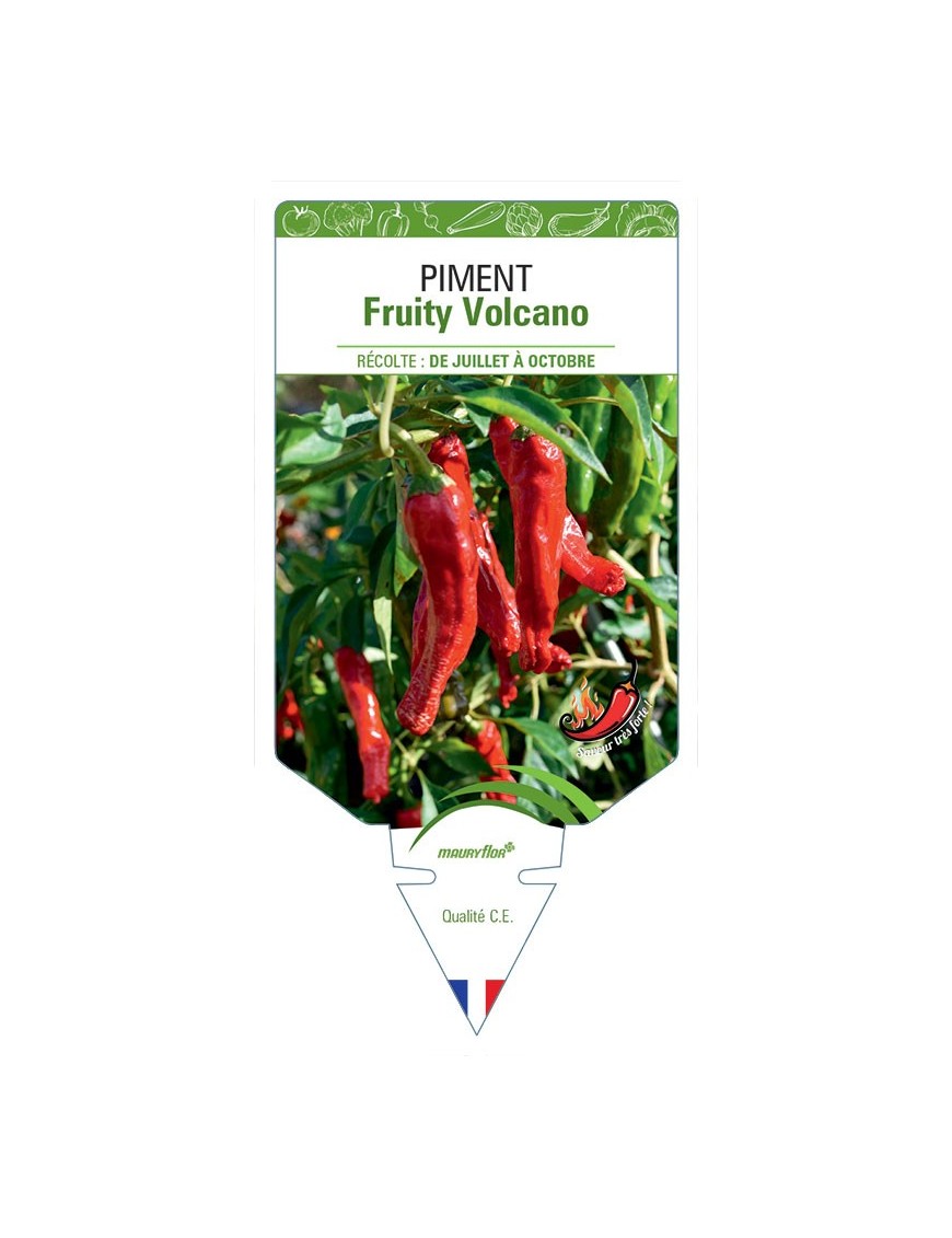 PIMENT FRUITY VOLCANO