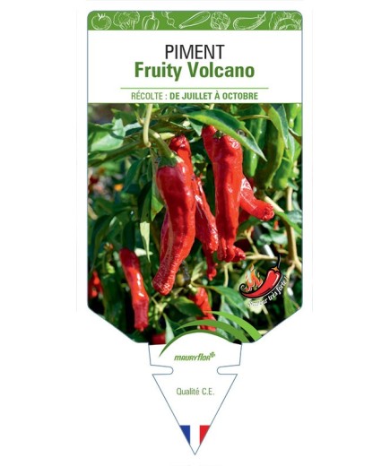 PIMENT FRUITY VOLCANO