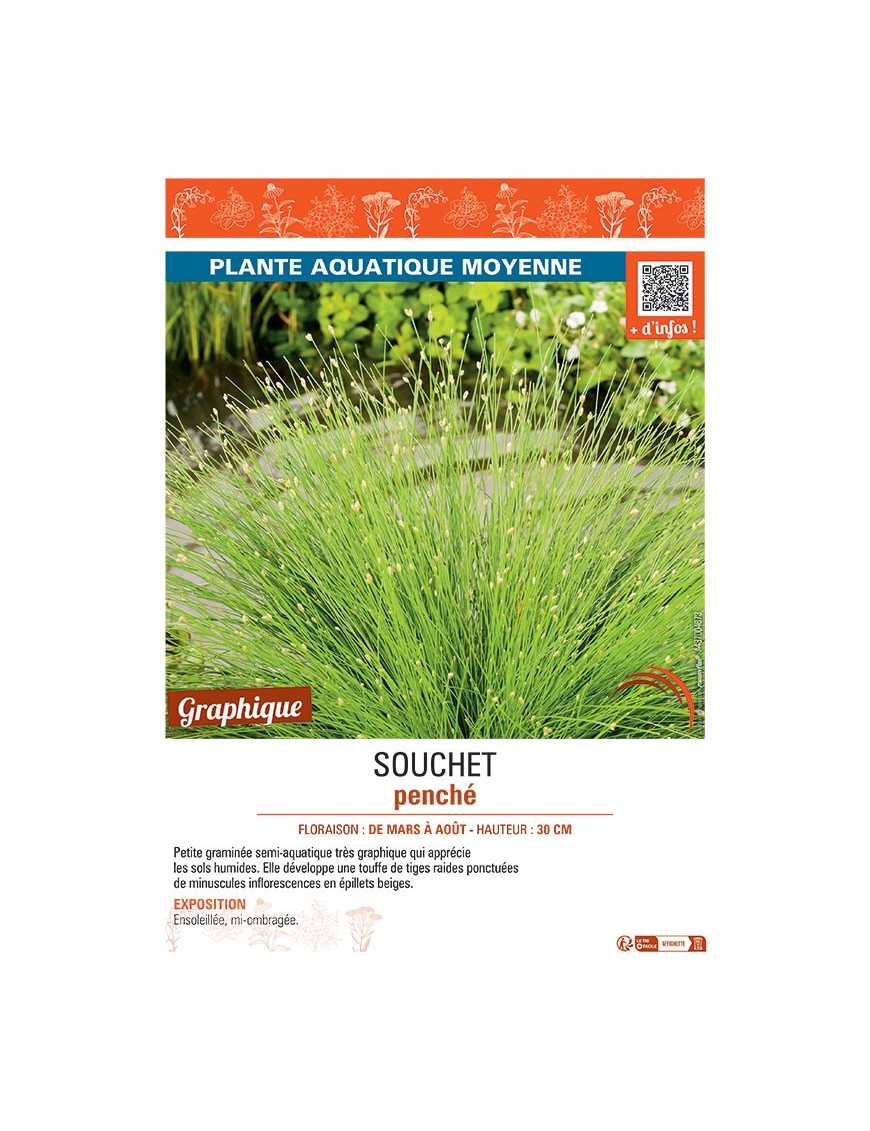 SOUCHET PENCHE