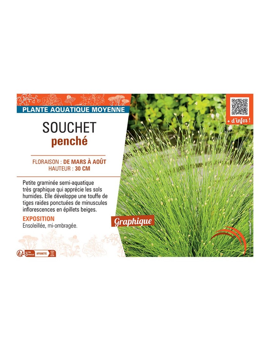 SOUCHET PENCHE