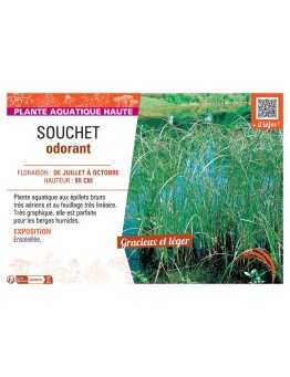 SOUCHET ODORANT