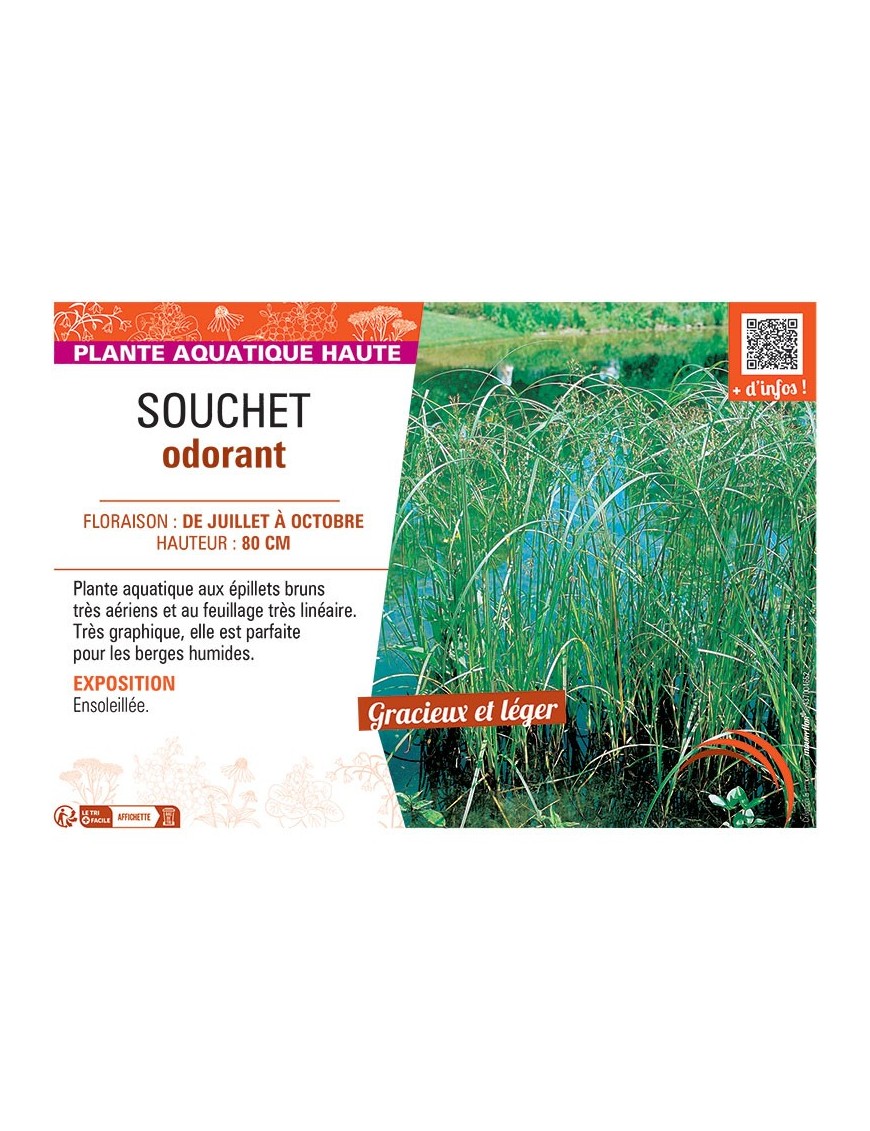 SOUCHET ODORANT