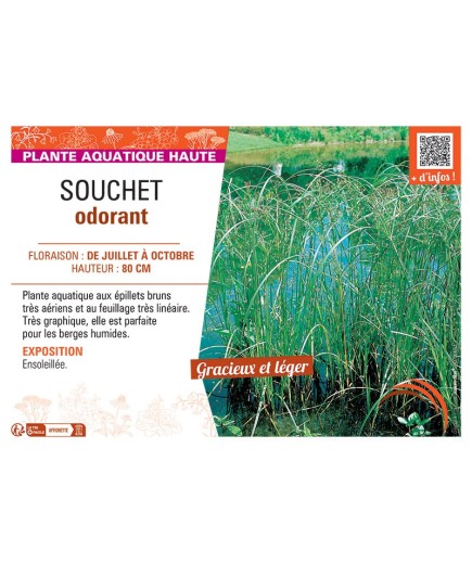 SOUCHET ODORANT