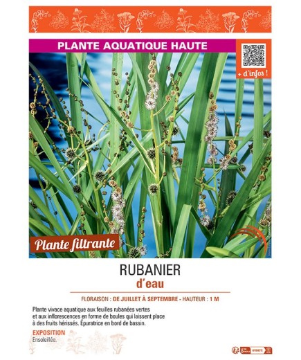 RUBANIER D'EAU
