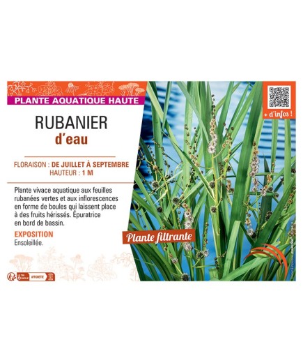 RUBANIER D'EAU