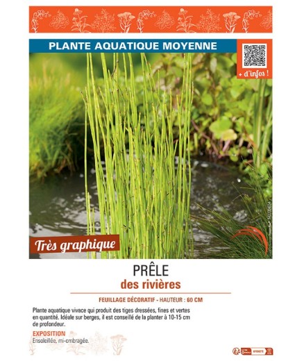 PRELE DES RIVIERES