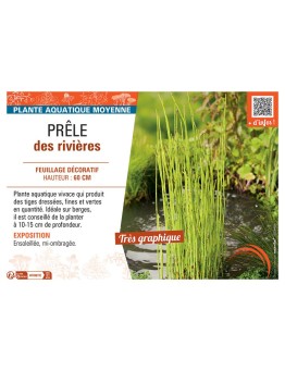 PRELE DES RIVIERES