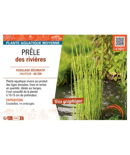 PRELE DES RIVIERES