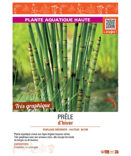 PRELE D'HIVER