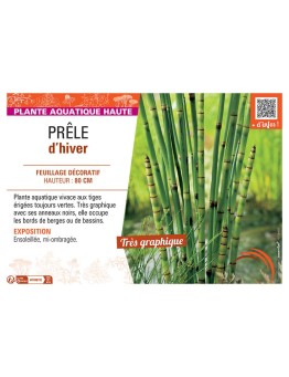 PRELE D'HIVER