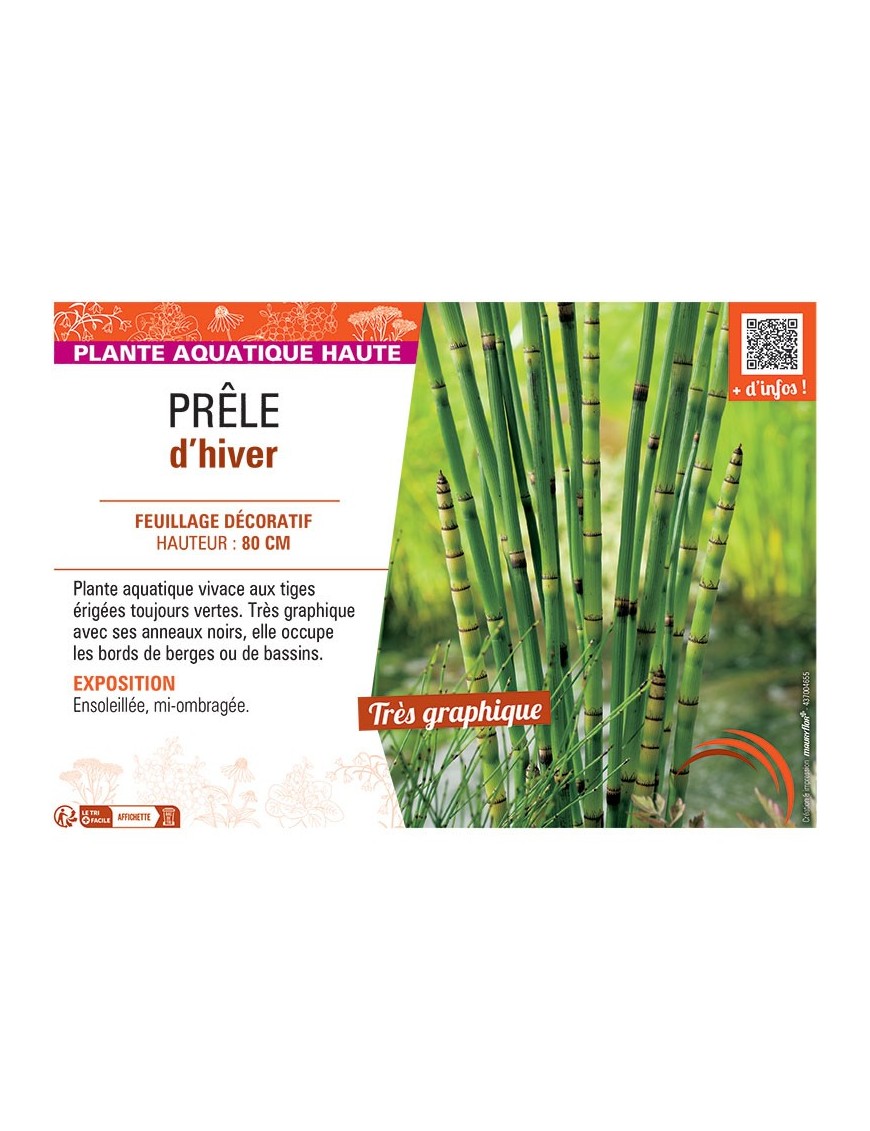 PRELE D'HIVER