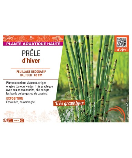 PRELE D'HIVER