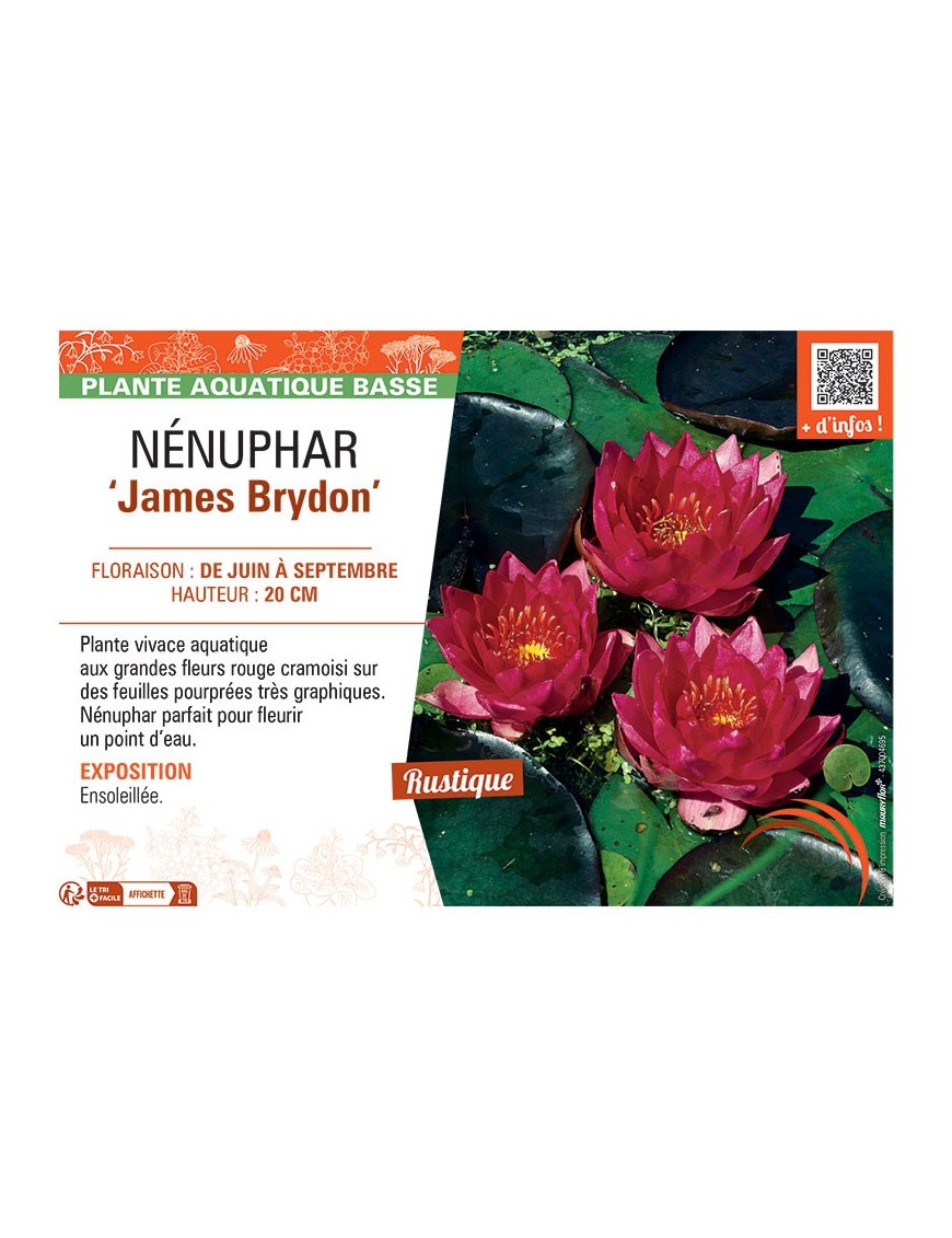 NENUPHAR JAMES BRYDON