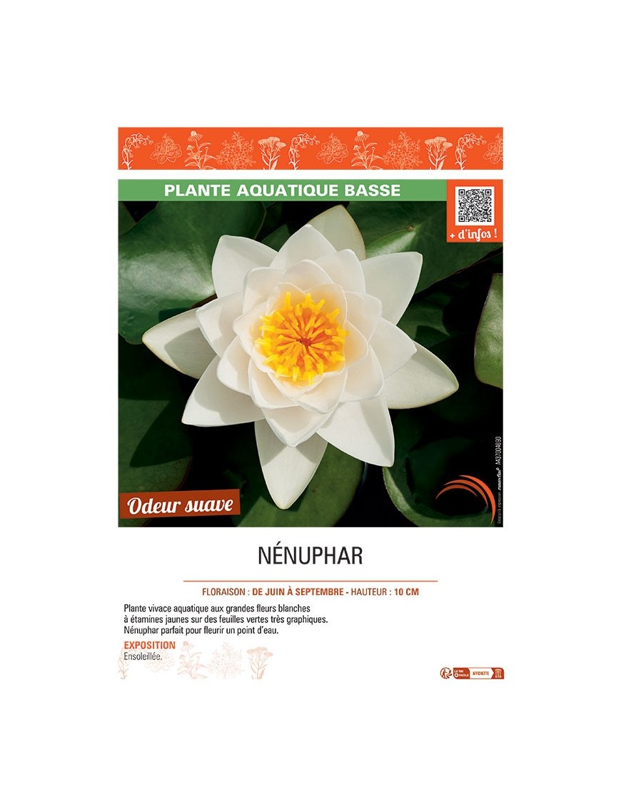 NENUPHAR