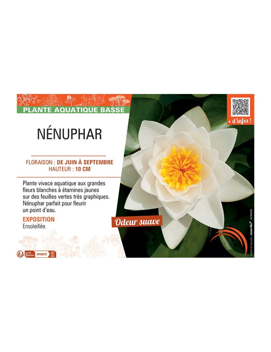 NENUPHAR