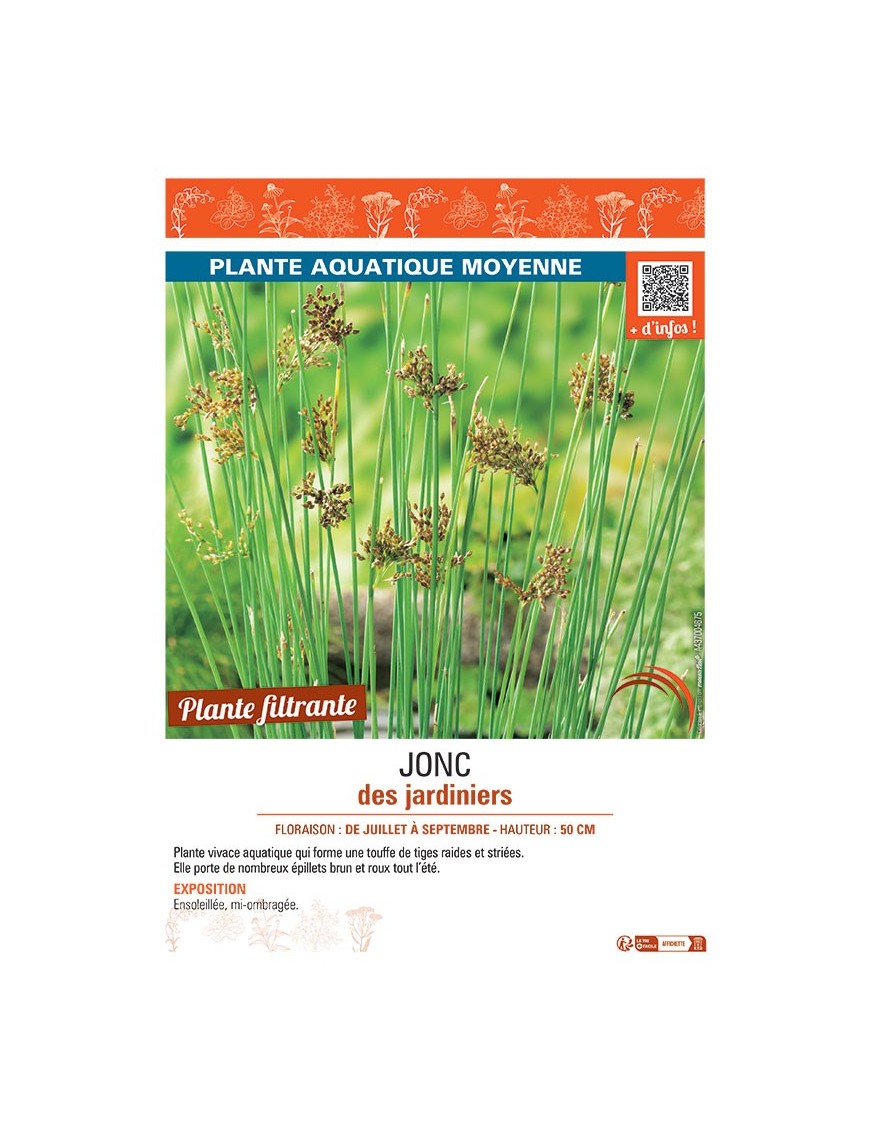 JONC DES JARDINIERS