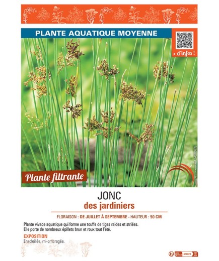 JONC DES JARDINIERS