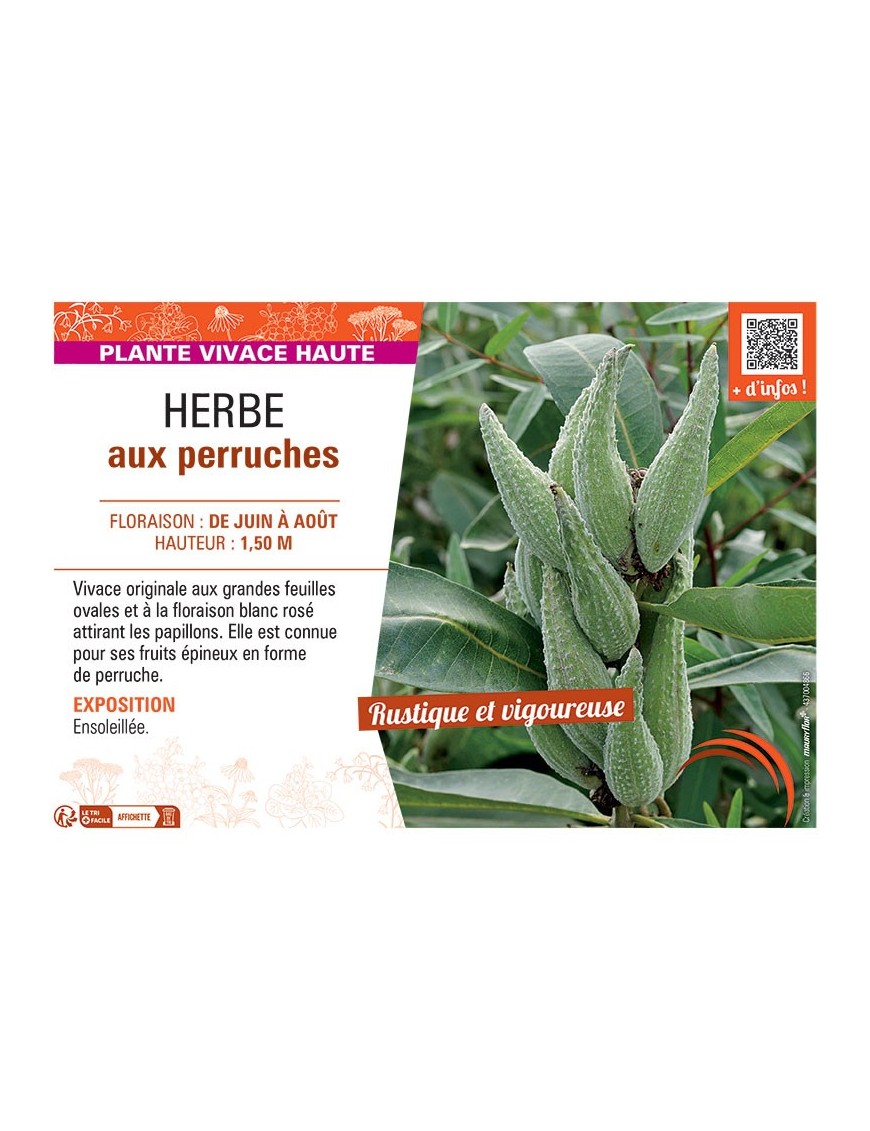 HERBE AUX PERRUCHES