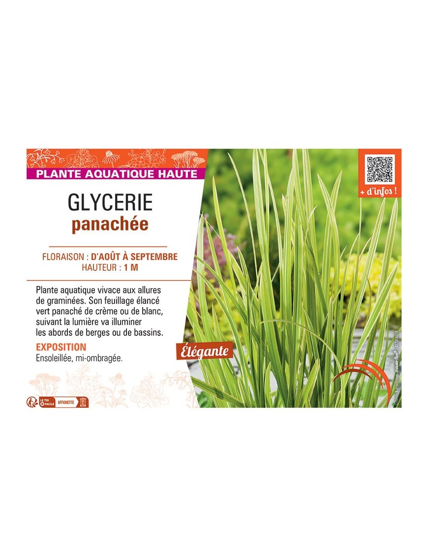 GLYCERIE PANACHEE