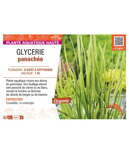 GLYCERIE PANACHEE