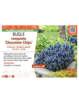 BUGLE RAMPANTE CHOCOLATE CHIPS
