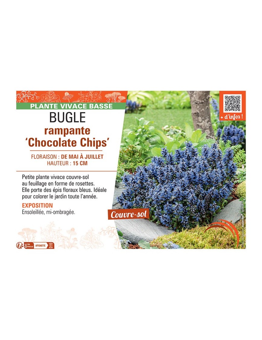 BUGLE RAMPANTE CHOCOLATE CHIPS