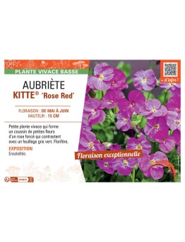 AUBRIETE KITTE® ROSE RED