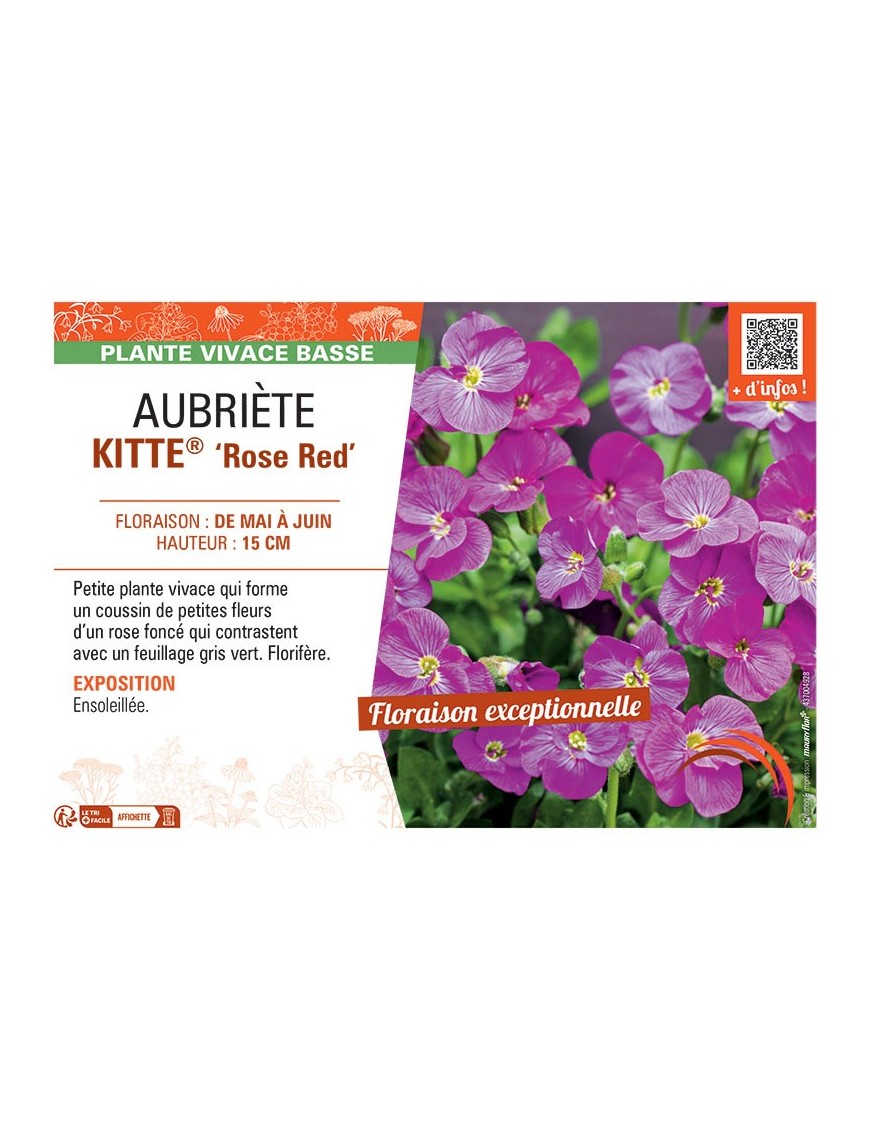 AUBRIETE KITTE® ROSE RED