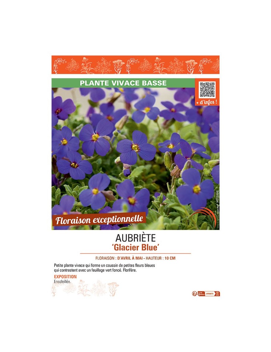 AUBRIETE GLACIER BLUE