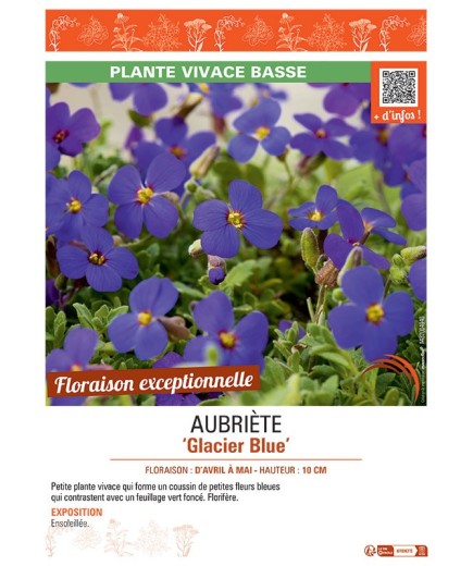 AUBRIETE GLACIER BLUE