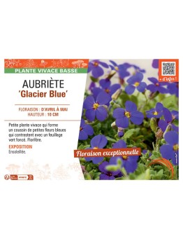 AUBRIETE GLACIER BLUE