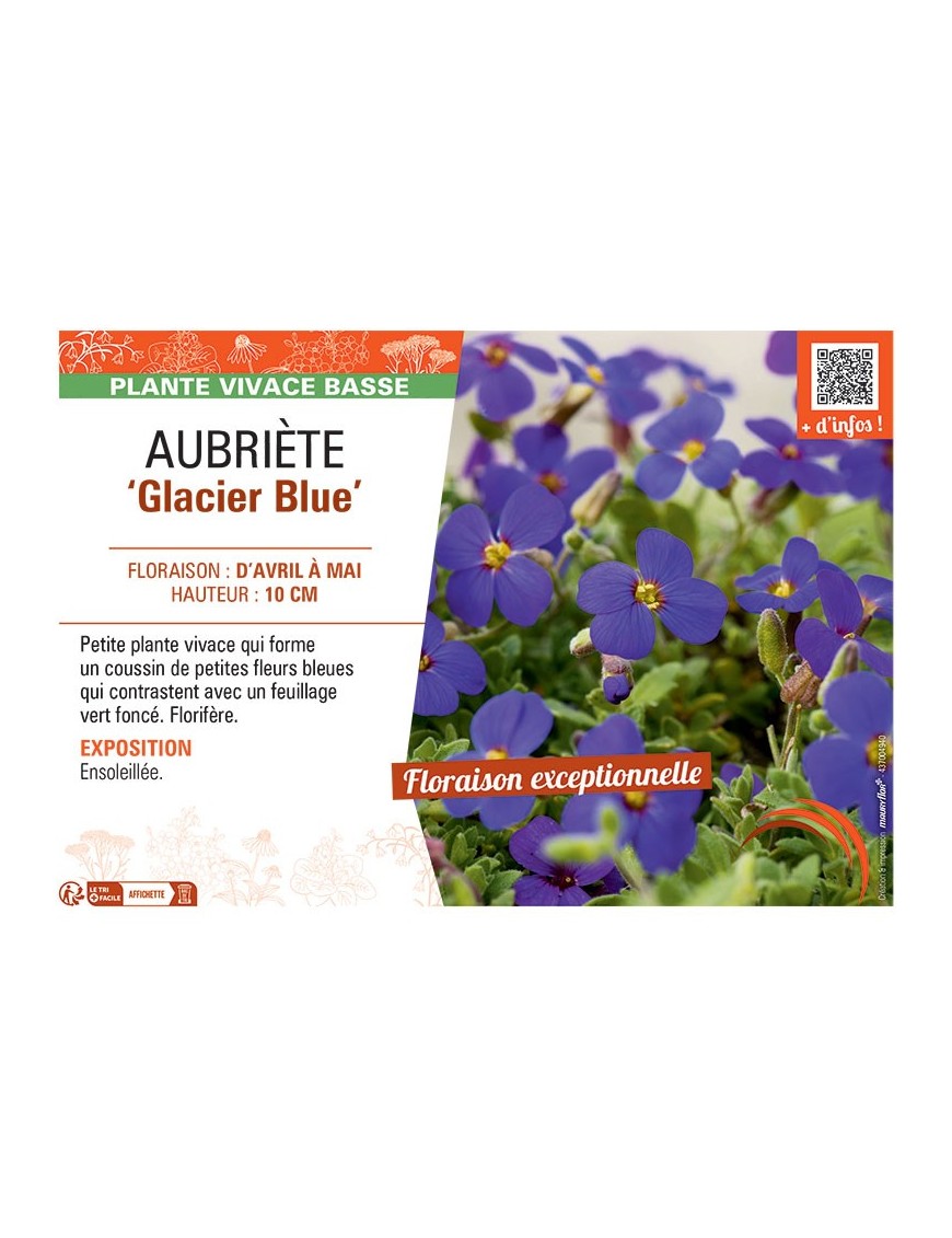 AUBRIETE GLACIER BLUE