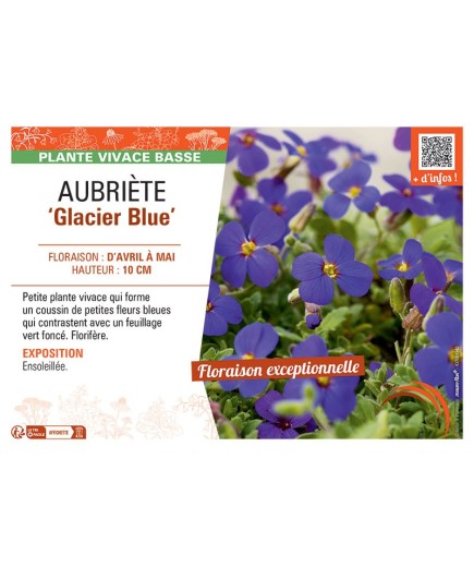 AUBRIETE GLACIER BLUE