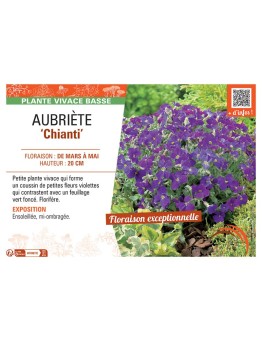 AUBRIETE CHIANTI