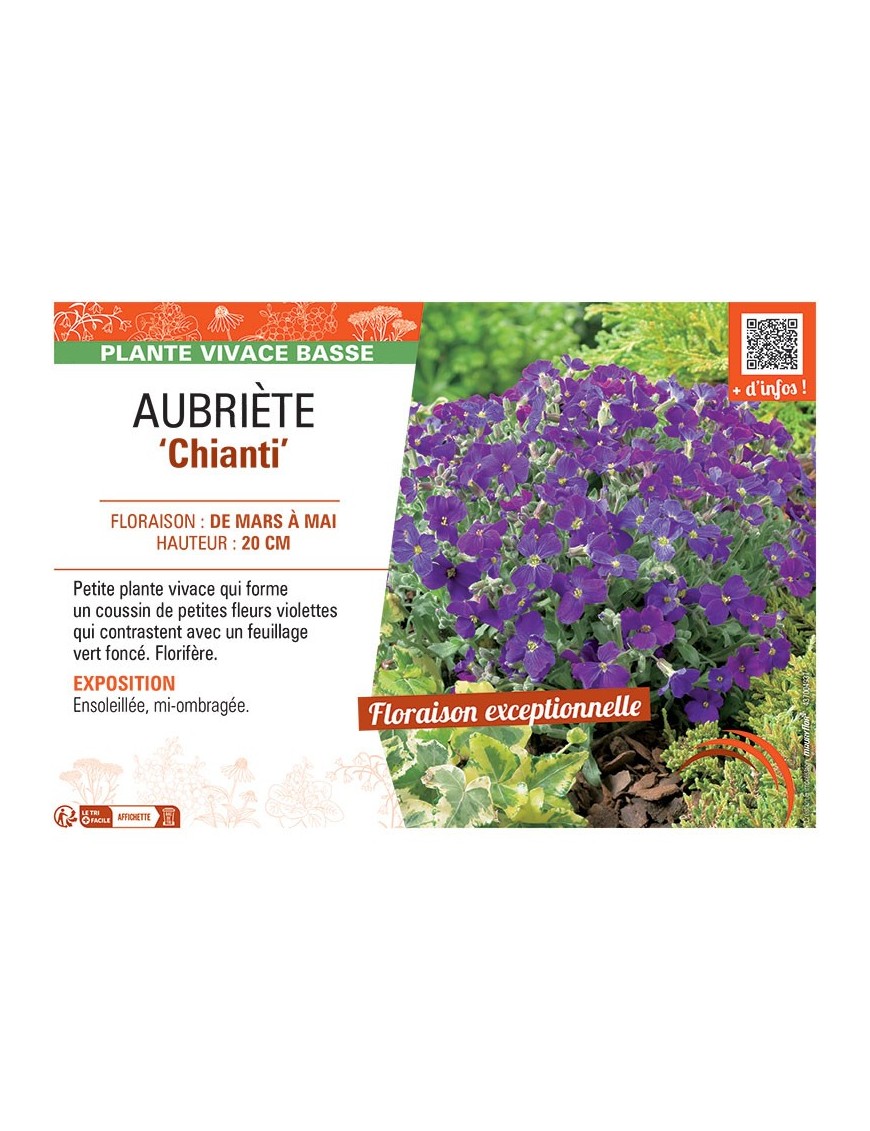 AUBRIETE CHIANTI