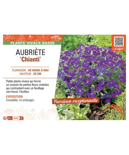 AUBRIETE CHIANTI