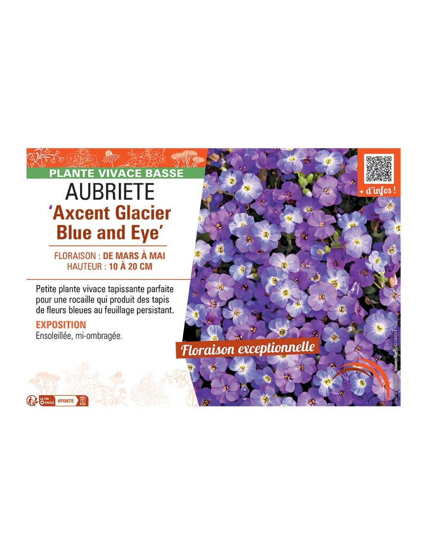 AUBRIETE AXCENT GLACIER BLUE AND EYE