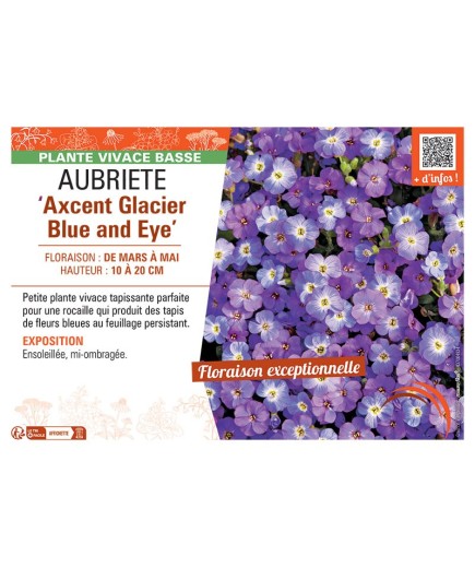 AUBRIETE AXCENT GLACIER BLUE AND EYE
