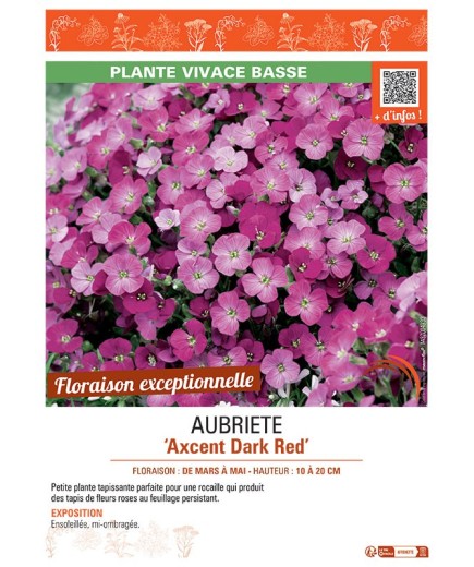 AUBRIETE AXCENT DARK RED