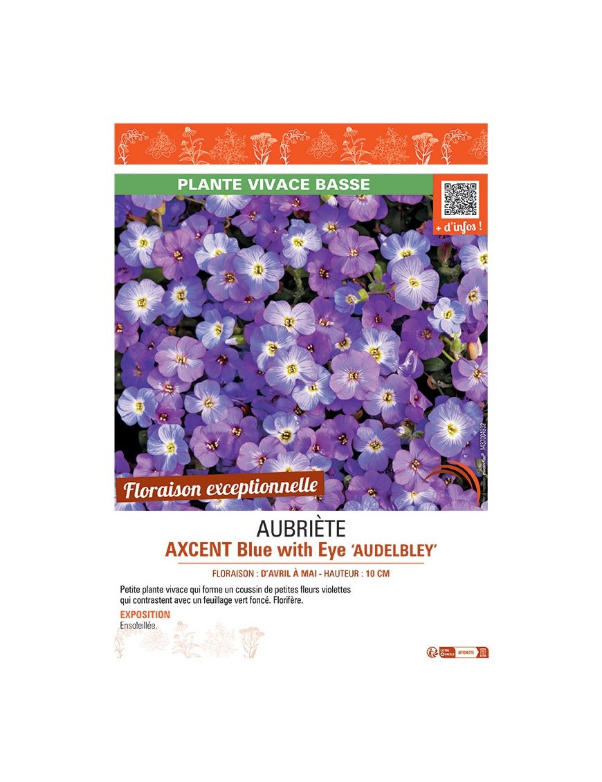 AUBRIETE AXCENT BLUE WITH EYE AUDELBLEY