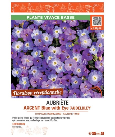 AUBRIETE AXCENT BLUE WITH EYE AUDELBLEY