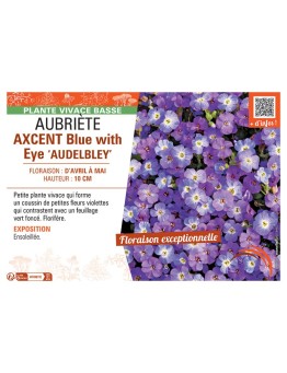 AUBRIETE AXCENT BLUE WITH EYE AUDELBLEY