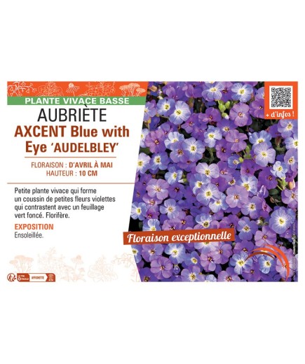 AUBRIETE AXCENT BLUE WITH EYE AUDELBLEY