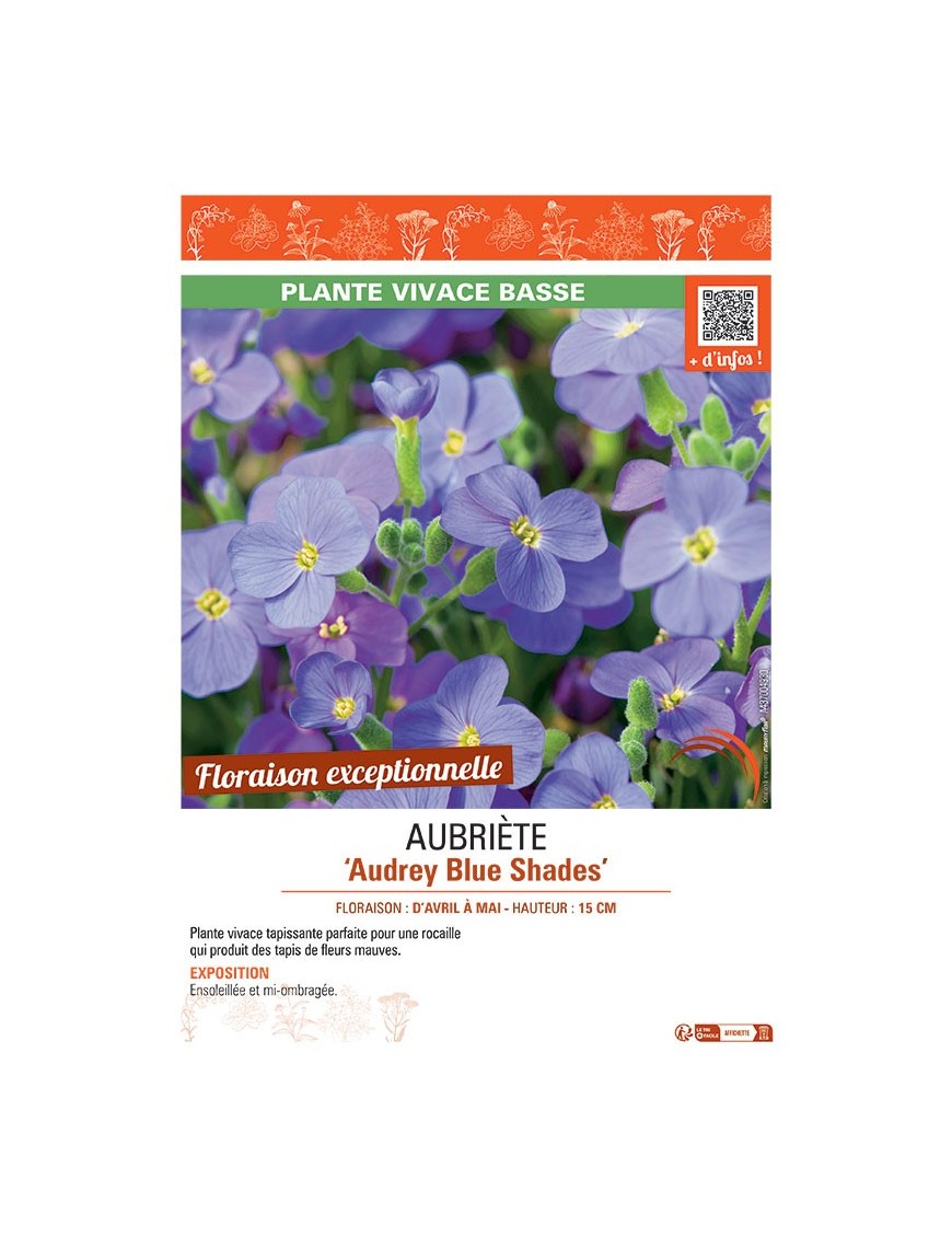 AUBRIETE AUDREY BLUE SHADES