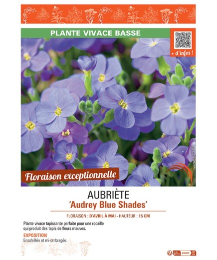 AUBRIETE AUDREY BLUE SHADES