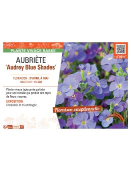 AUBRIETE AUDREY BLUE SHADES